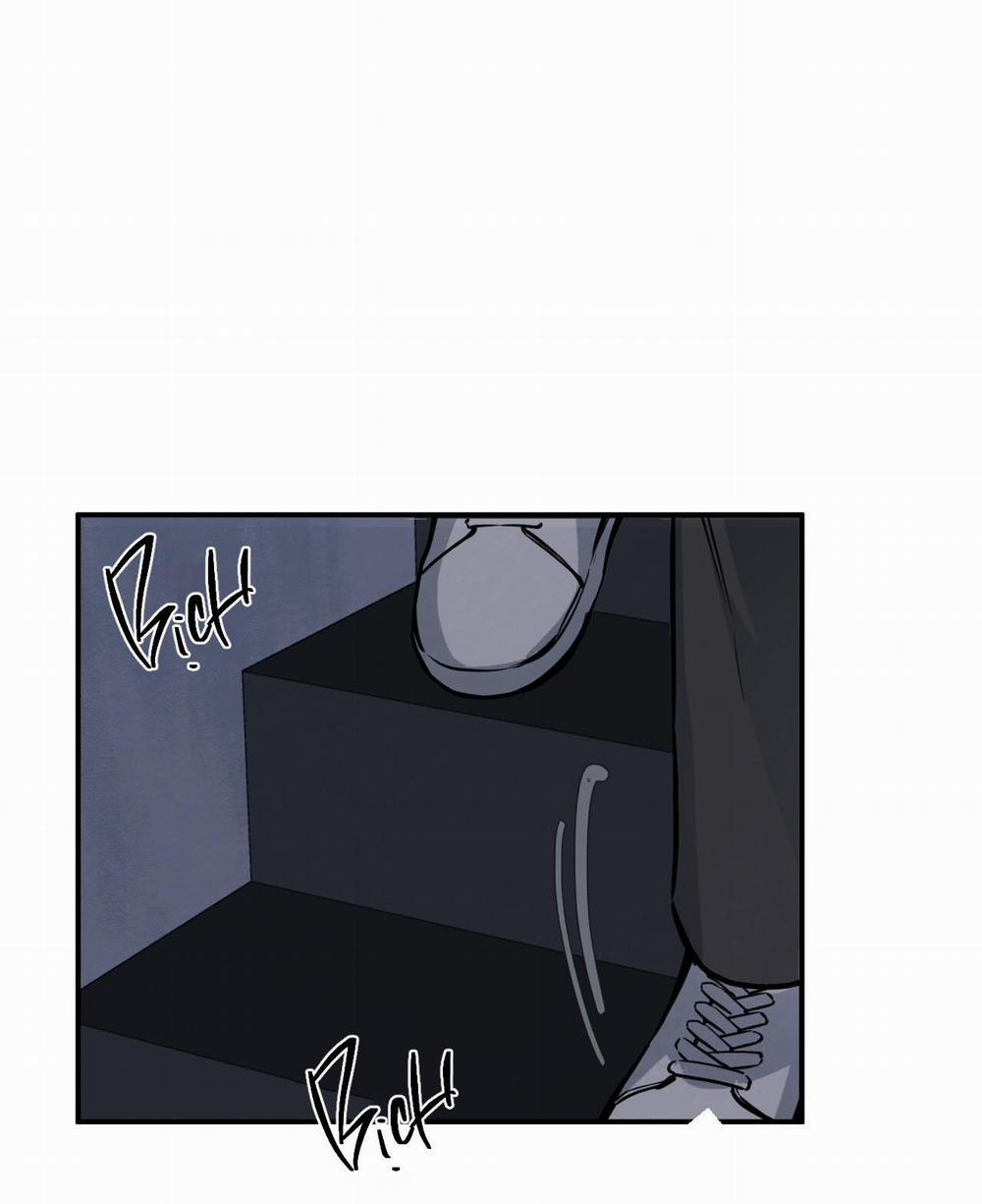 Honey Bear 11 trang 1