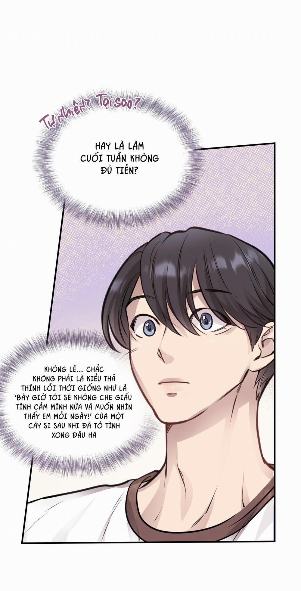 Honey Bear 11 trang 16