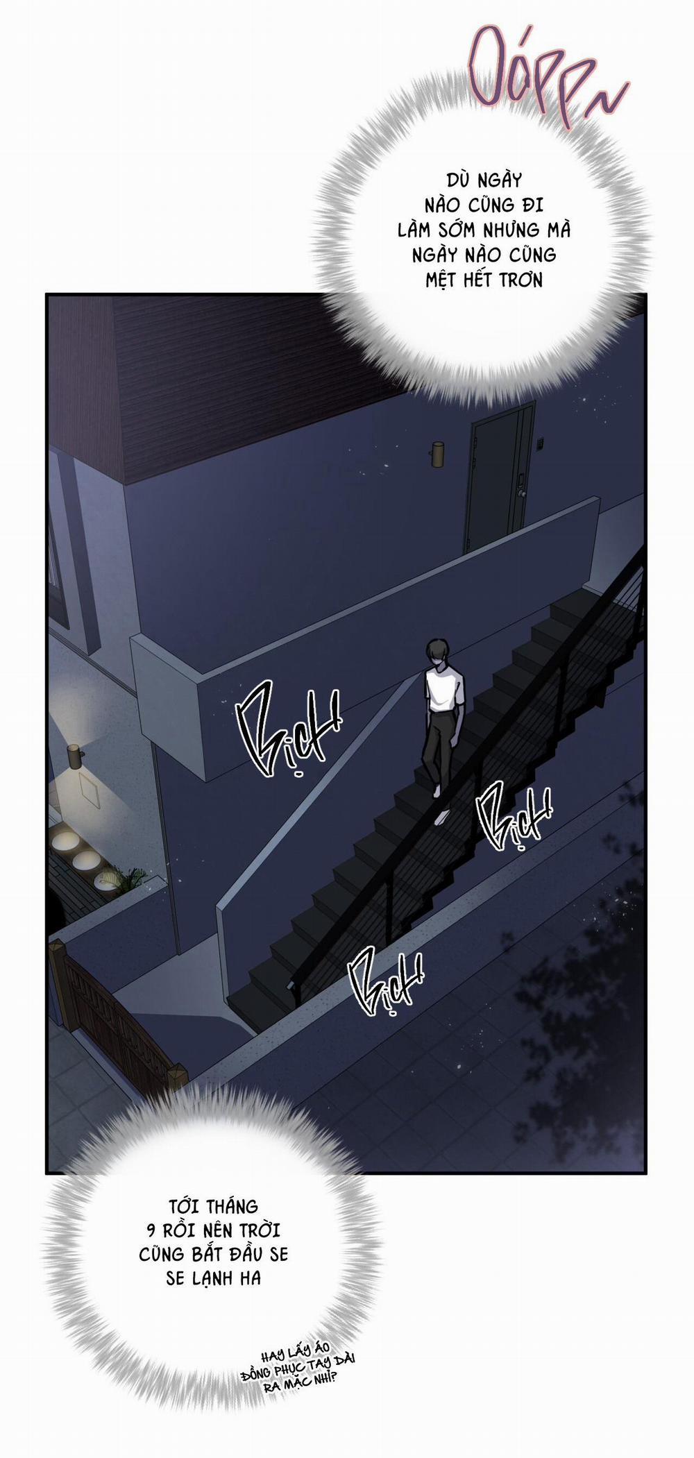 Honey Bear 11 trang 2