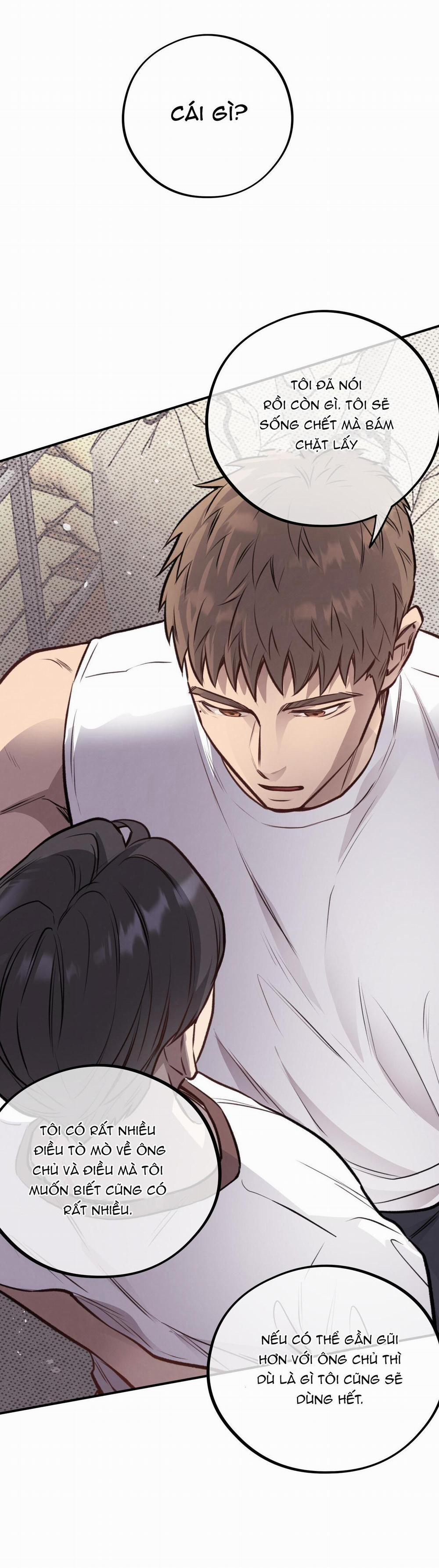 Honey Bear 11 trang 62