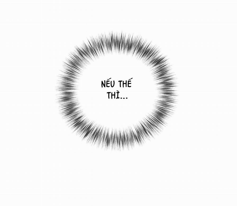 Honey Bear 12 trang 0