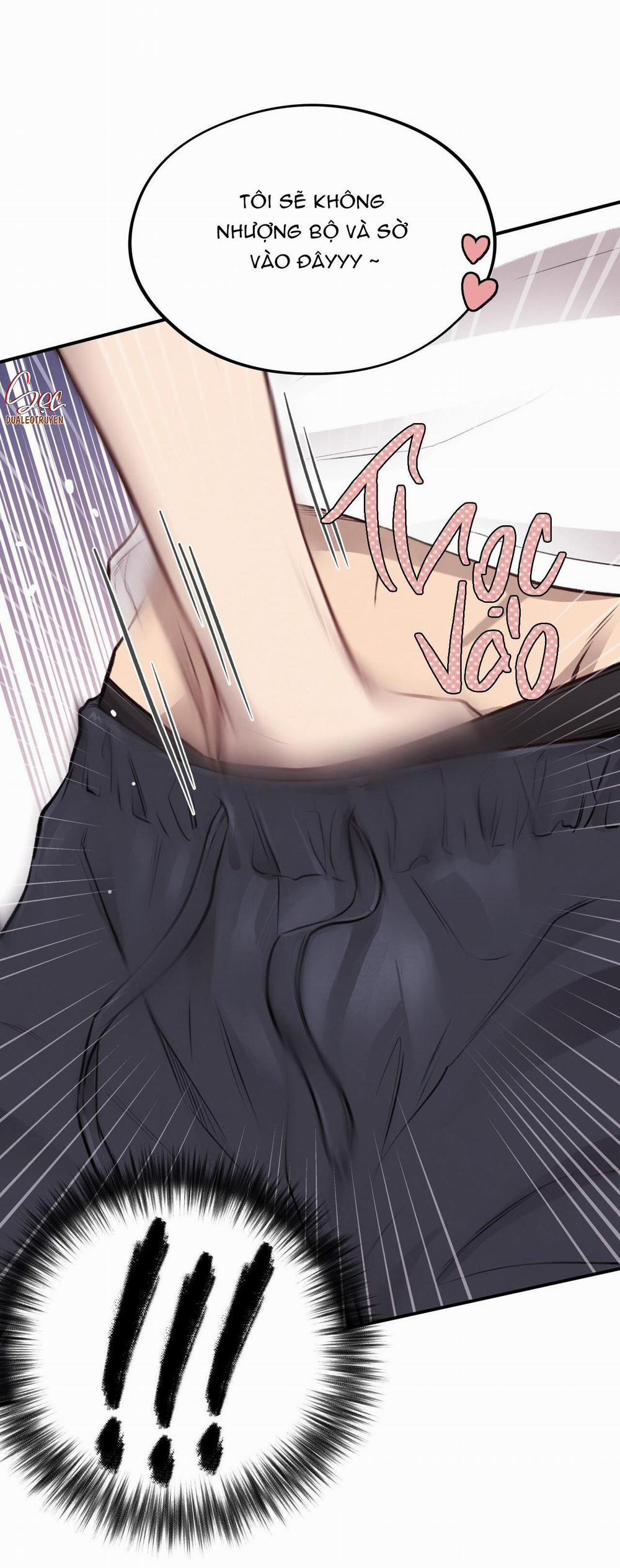 Honey Bear 12 trang 13