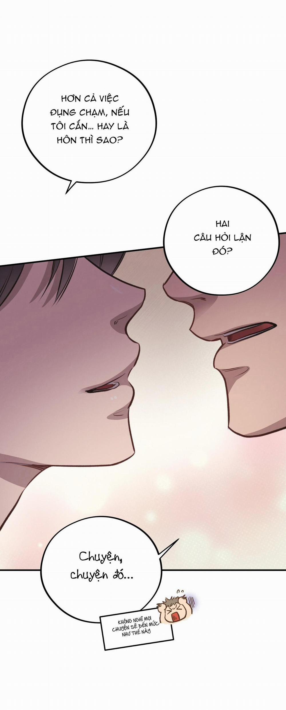 Honey Bear 12 trang 2