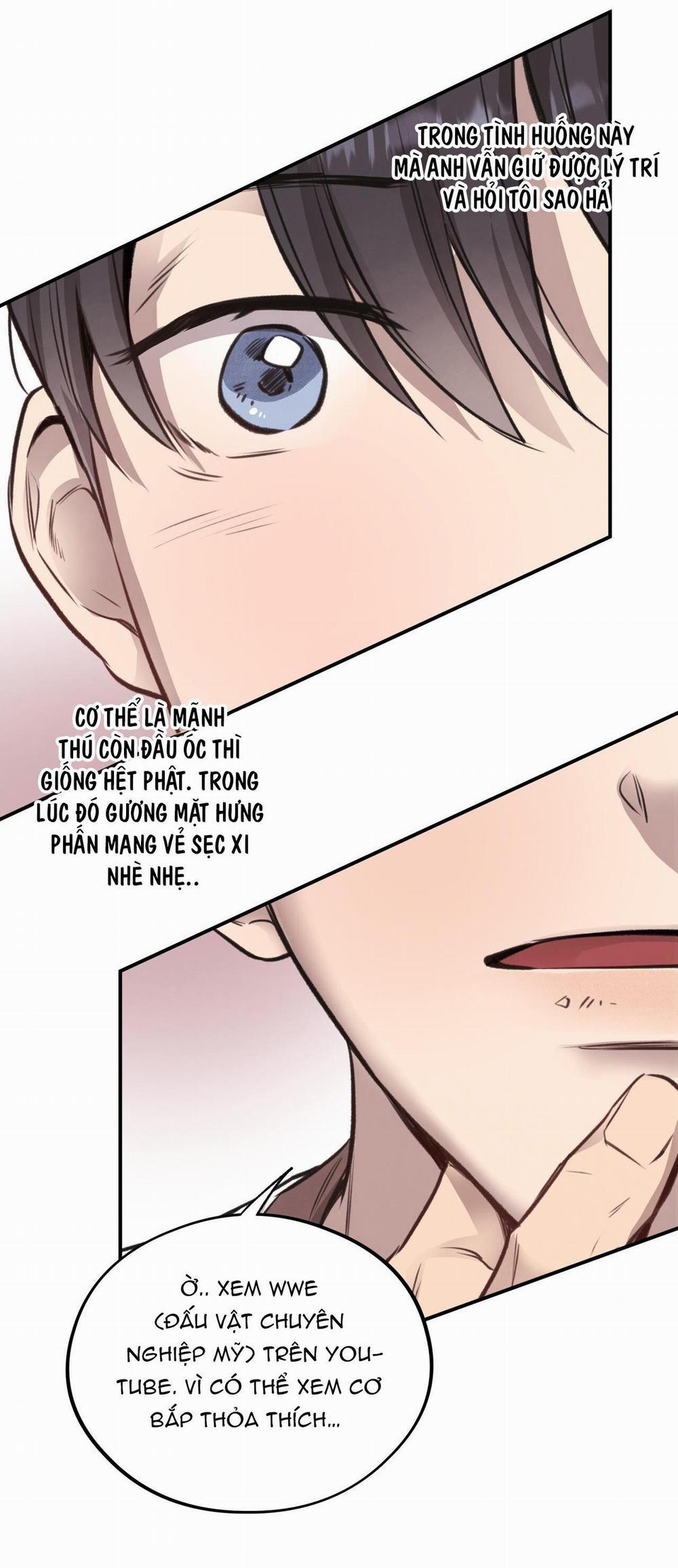 Honey Bear 12 trang 21