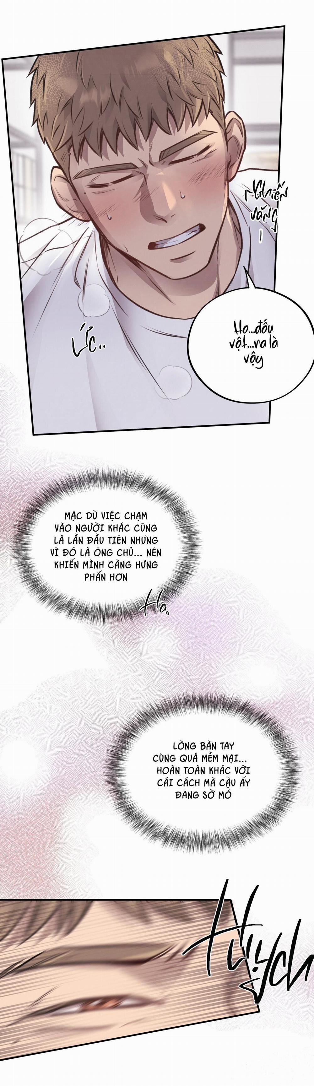 Honey Bear 12 trang 22