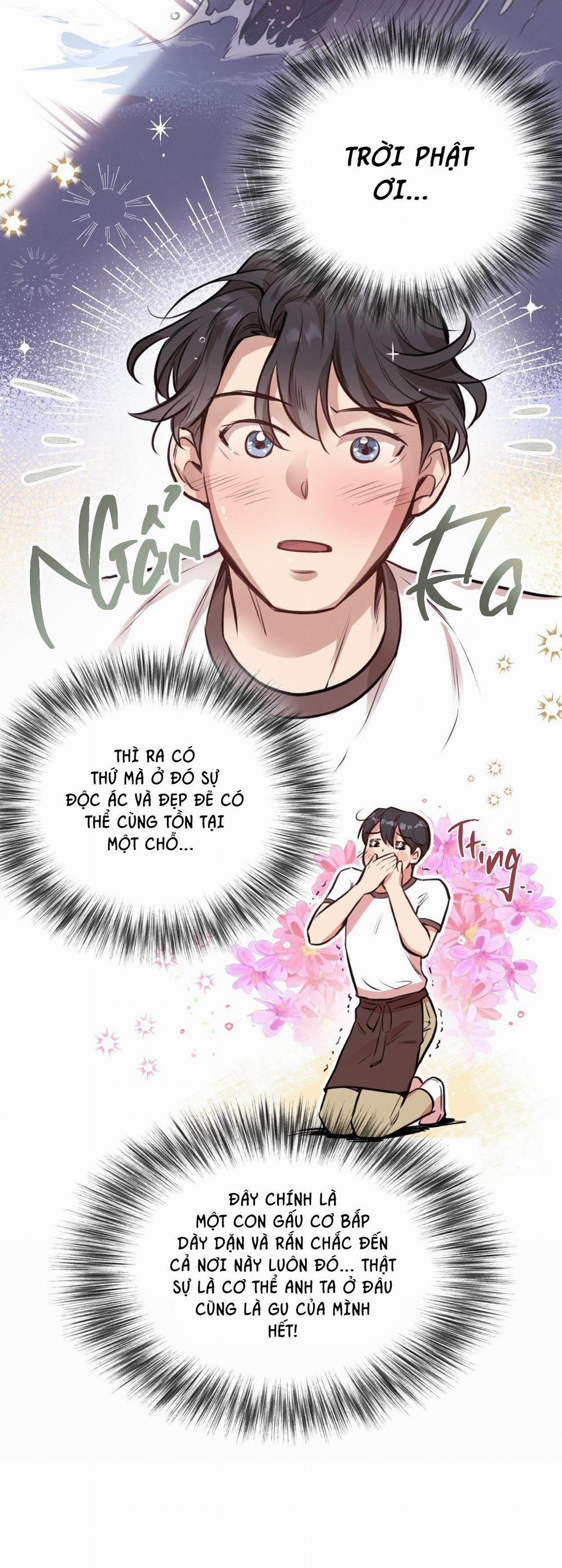 Honey Bear 12 trang 28