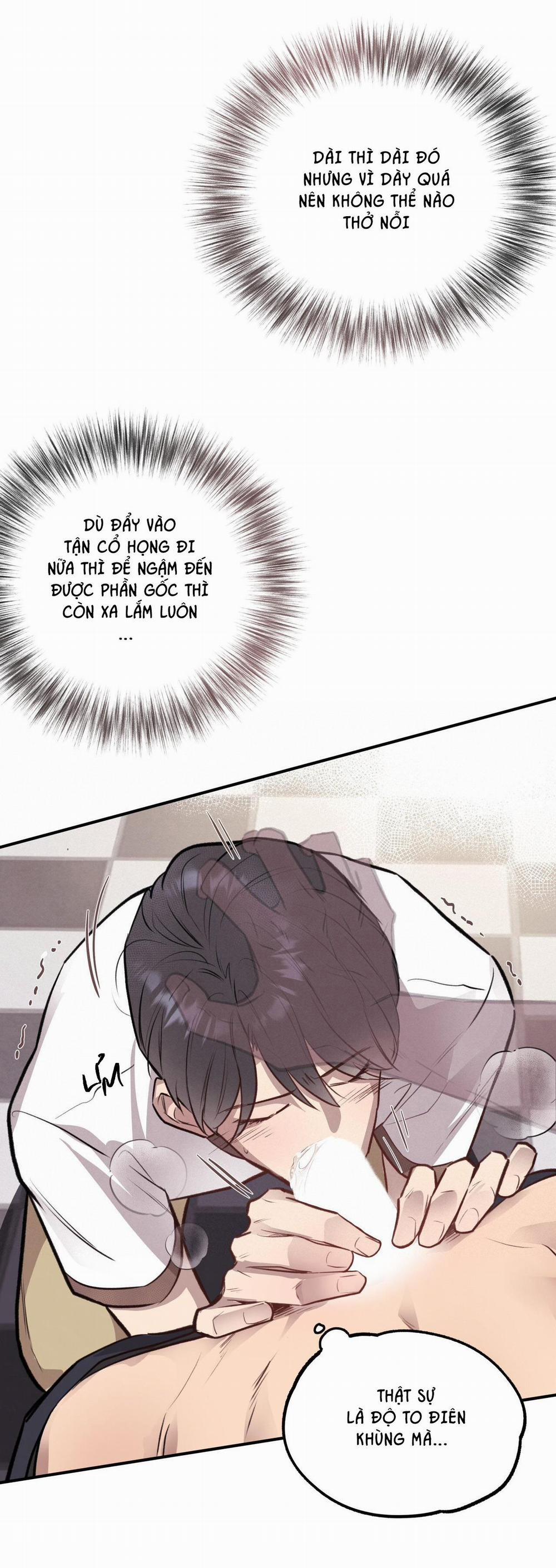 Honey Bear 12 trang 39