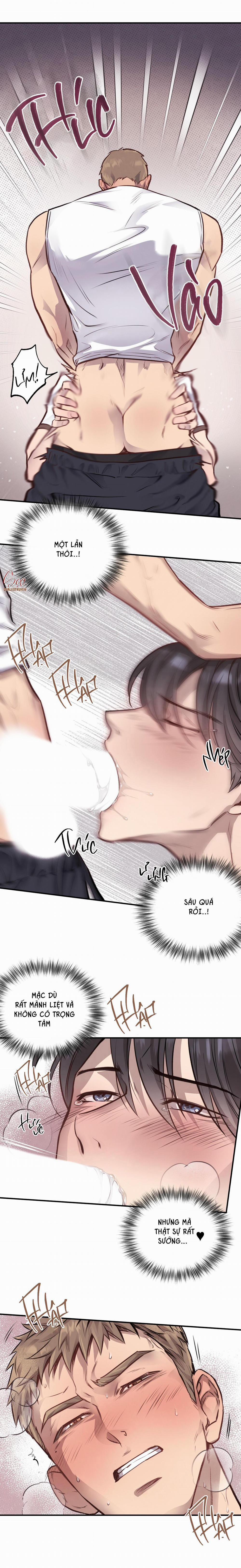 Honey Bear 12 trang 56