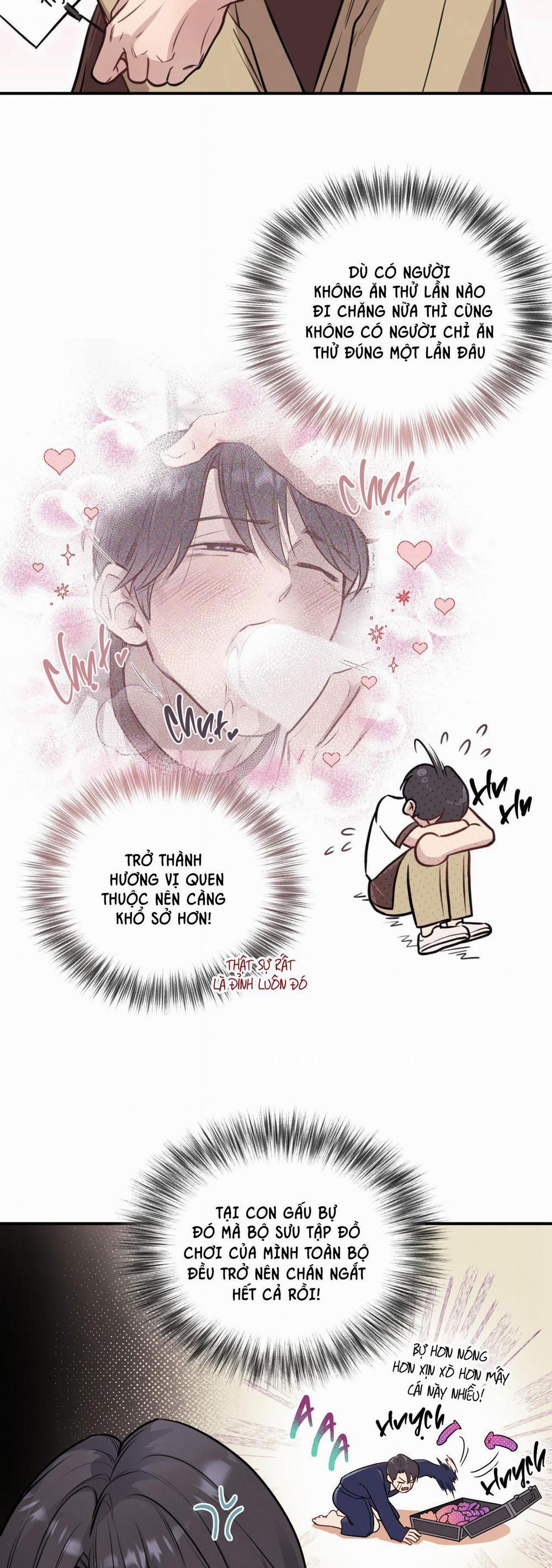 Honey Bear 13 trang 15