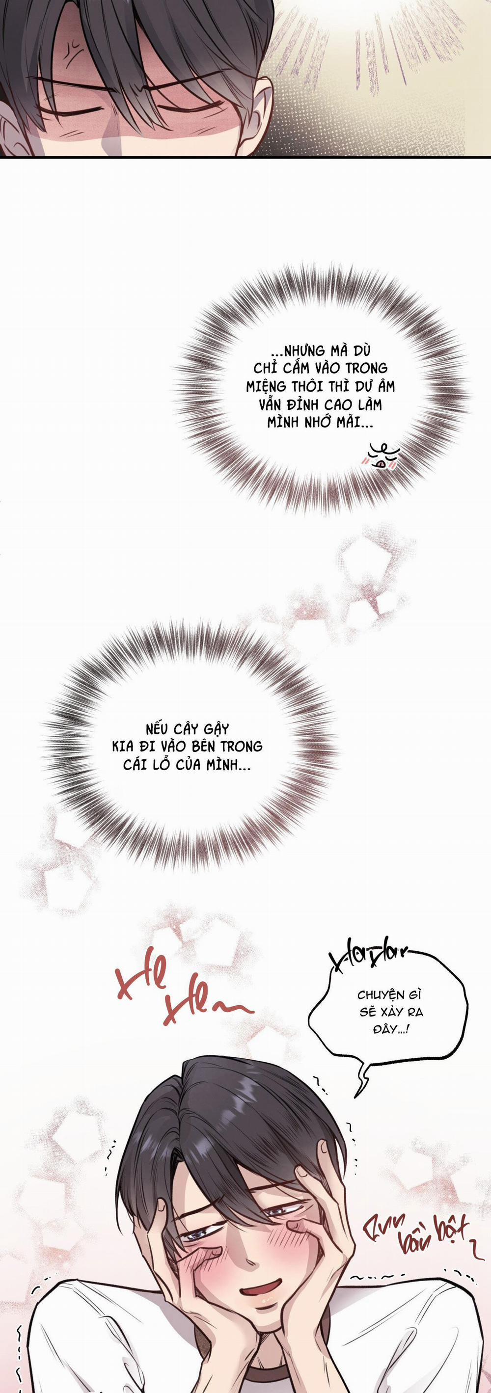 Honey Bear 13 trang 16