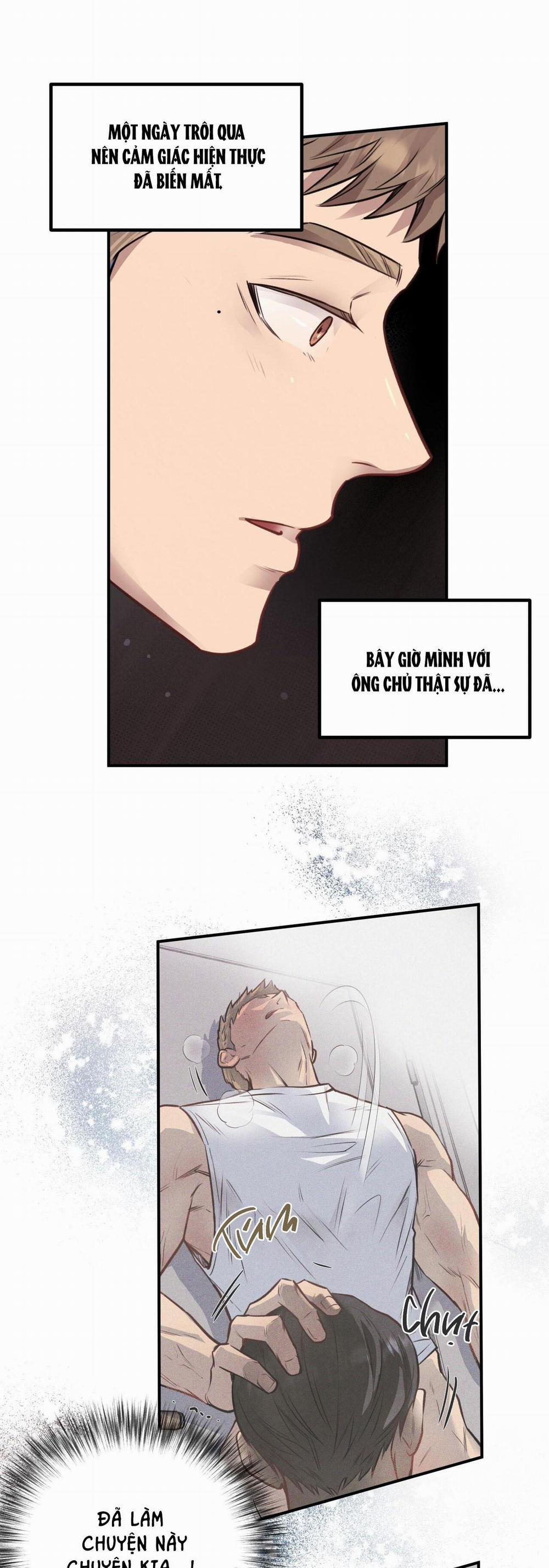 Honey Bear 13 trang 2