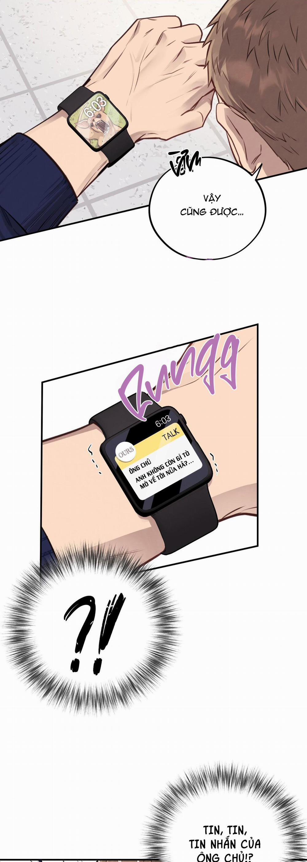 Honey Bear 13 trang 27