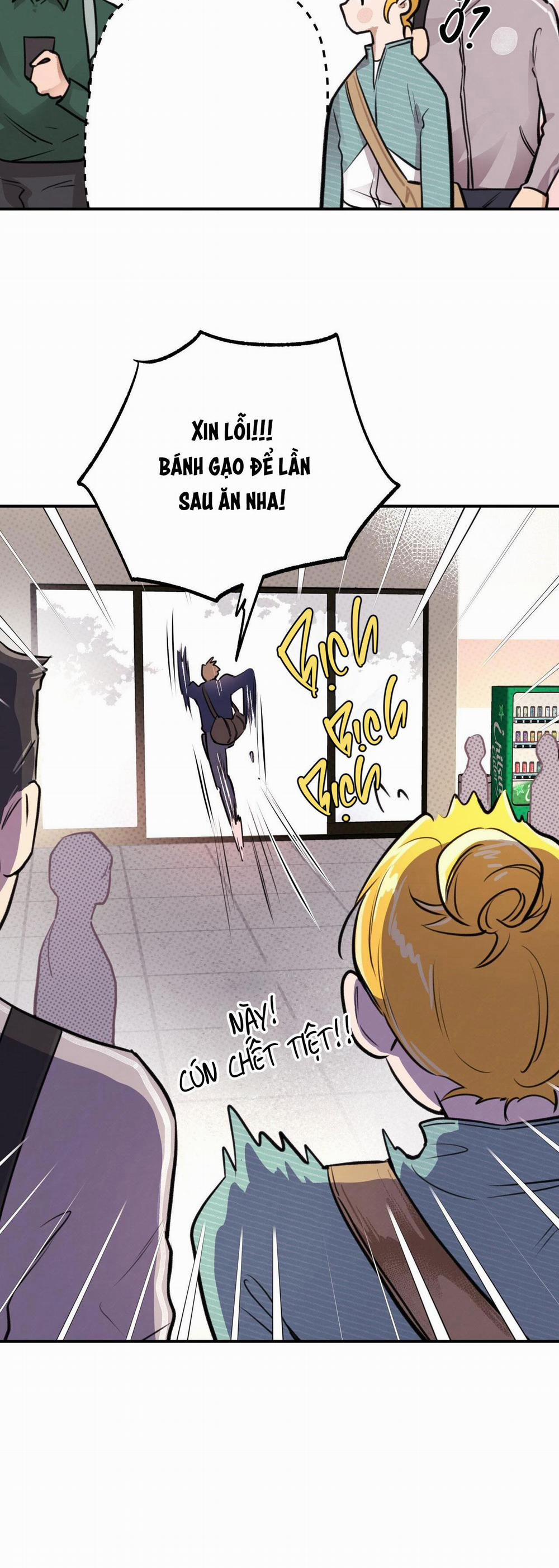 Honey Bear 13 trang 29