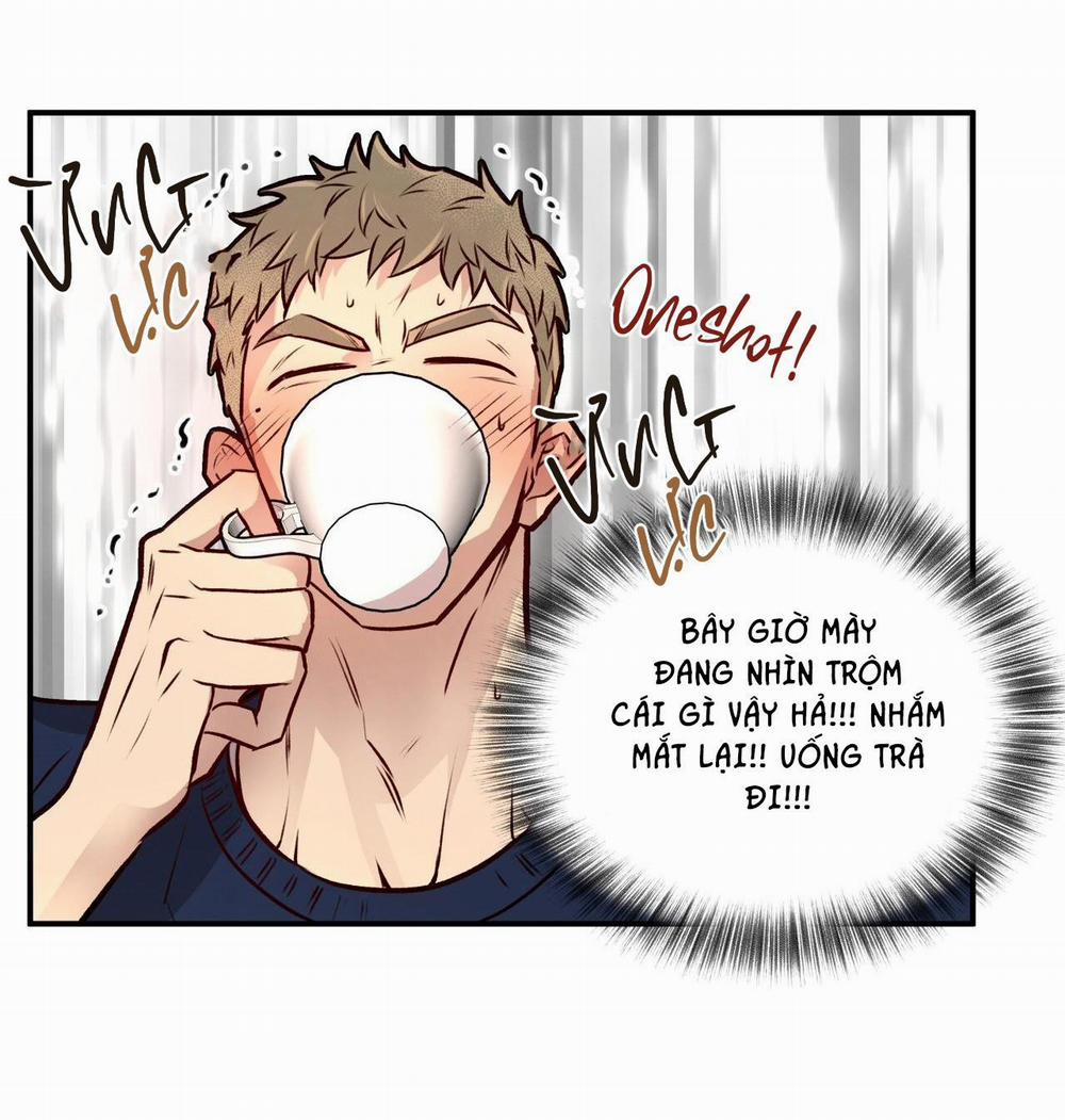 Honey Bear 14 trang 56