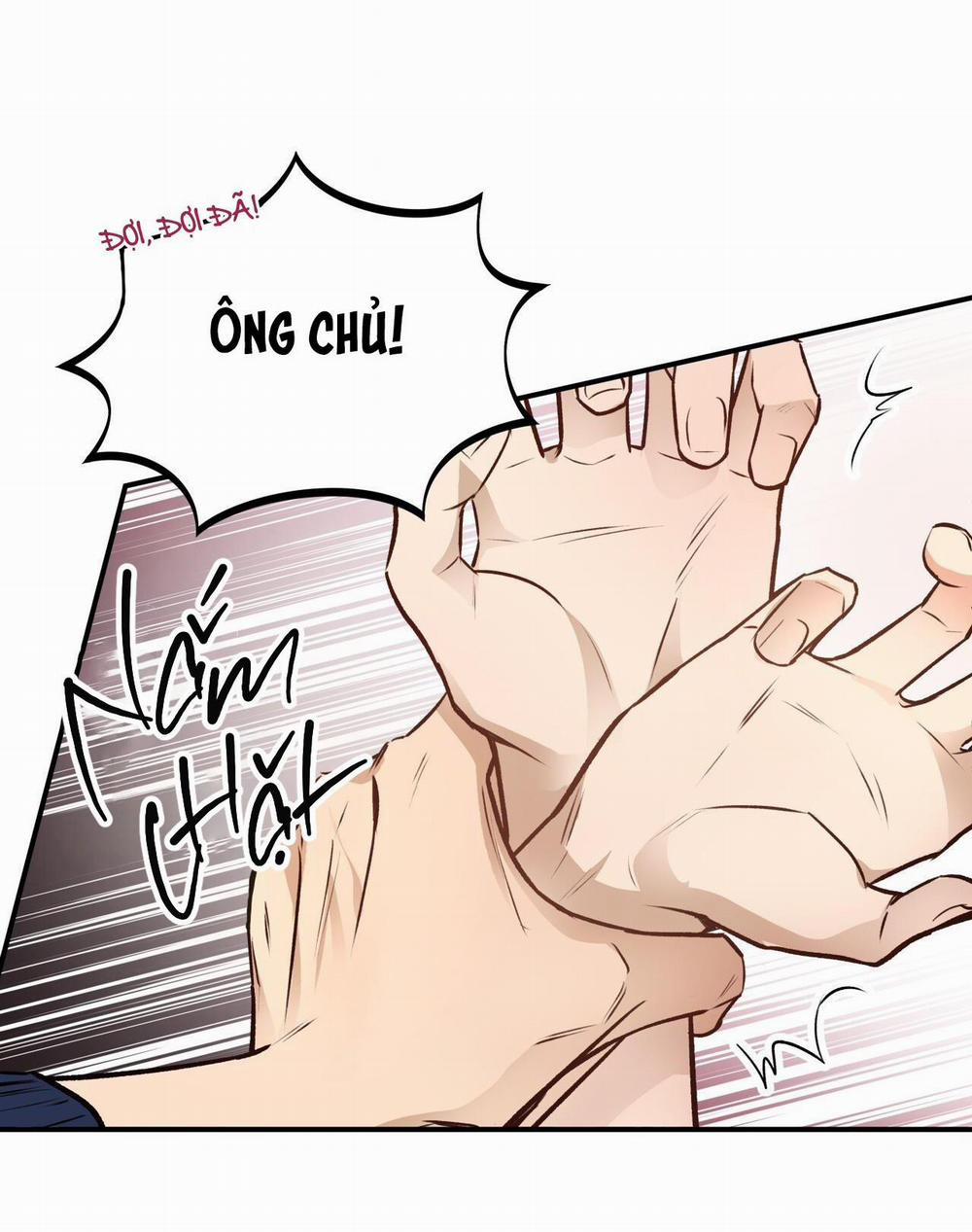 Honey Bear 14 trang 64