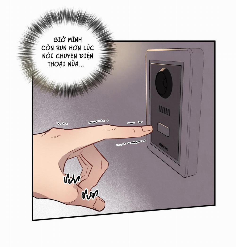 Honey Bear 14 trang 7