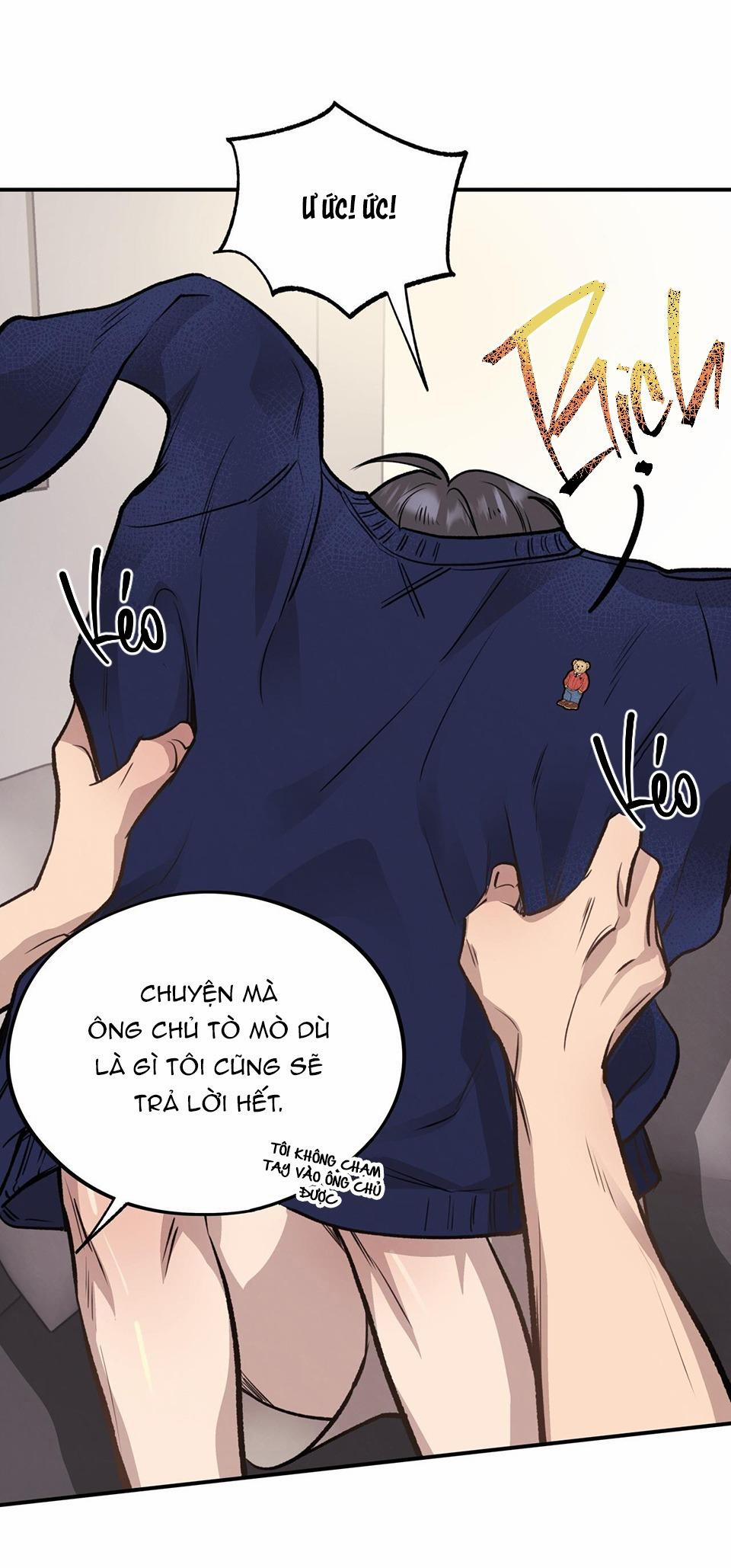 Honey Bear 15 trang 12