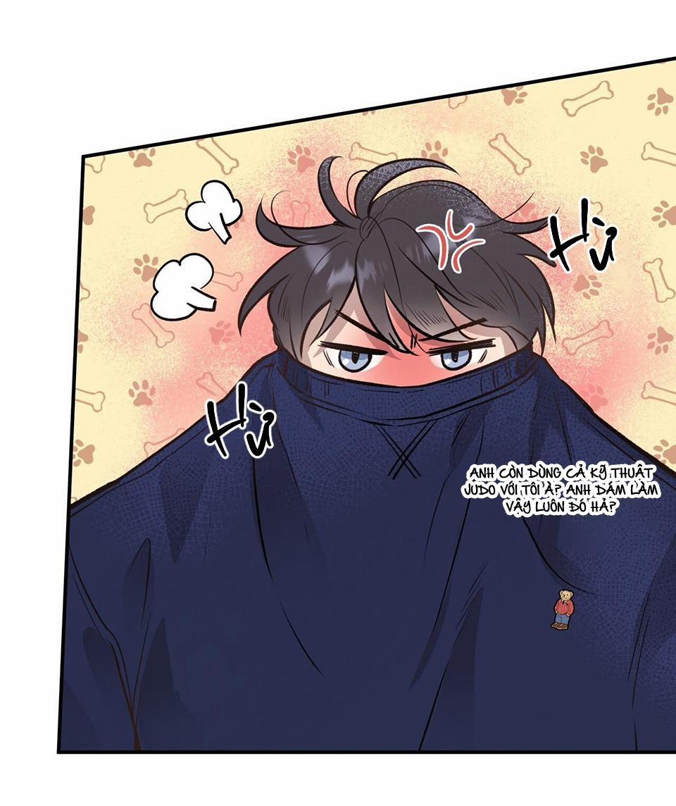 Honey Bear 15 trang 13