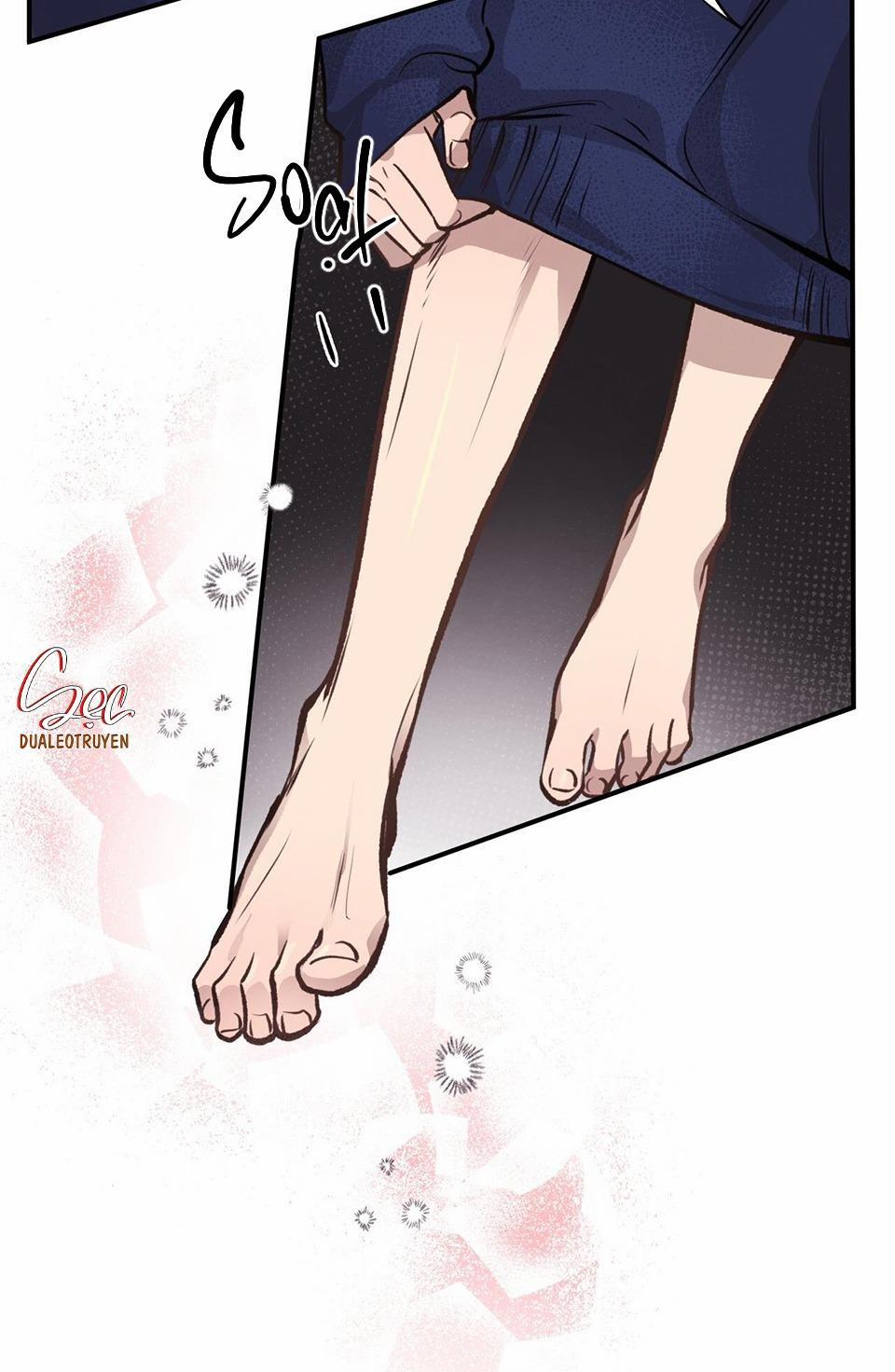 Honey Bear 15 trang 17