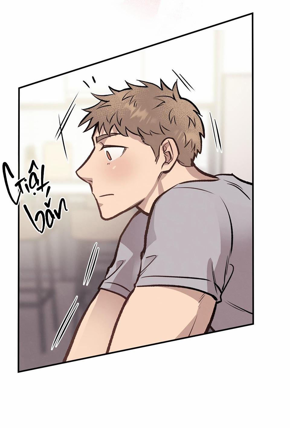 Honey Bear 15 trang 18