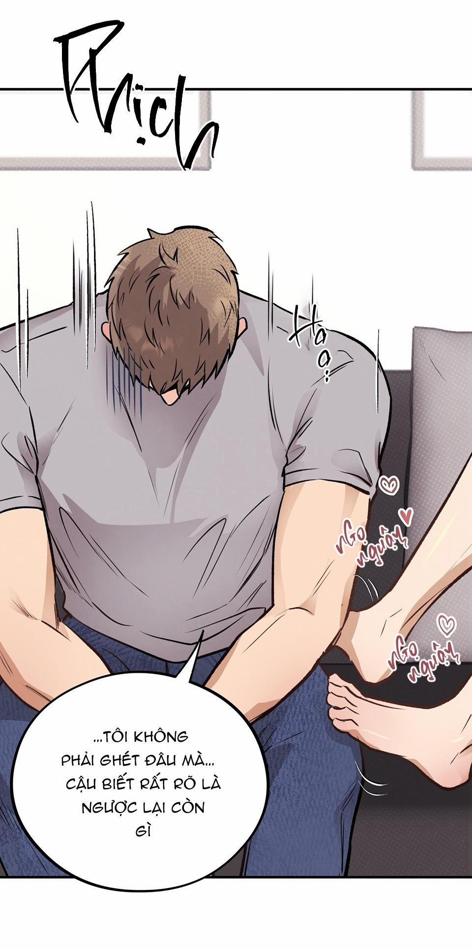 Honey Bear 15 trang 25