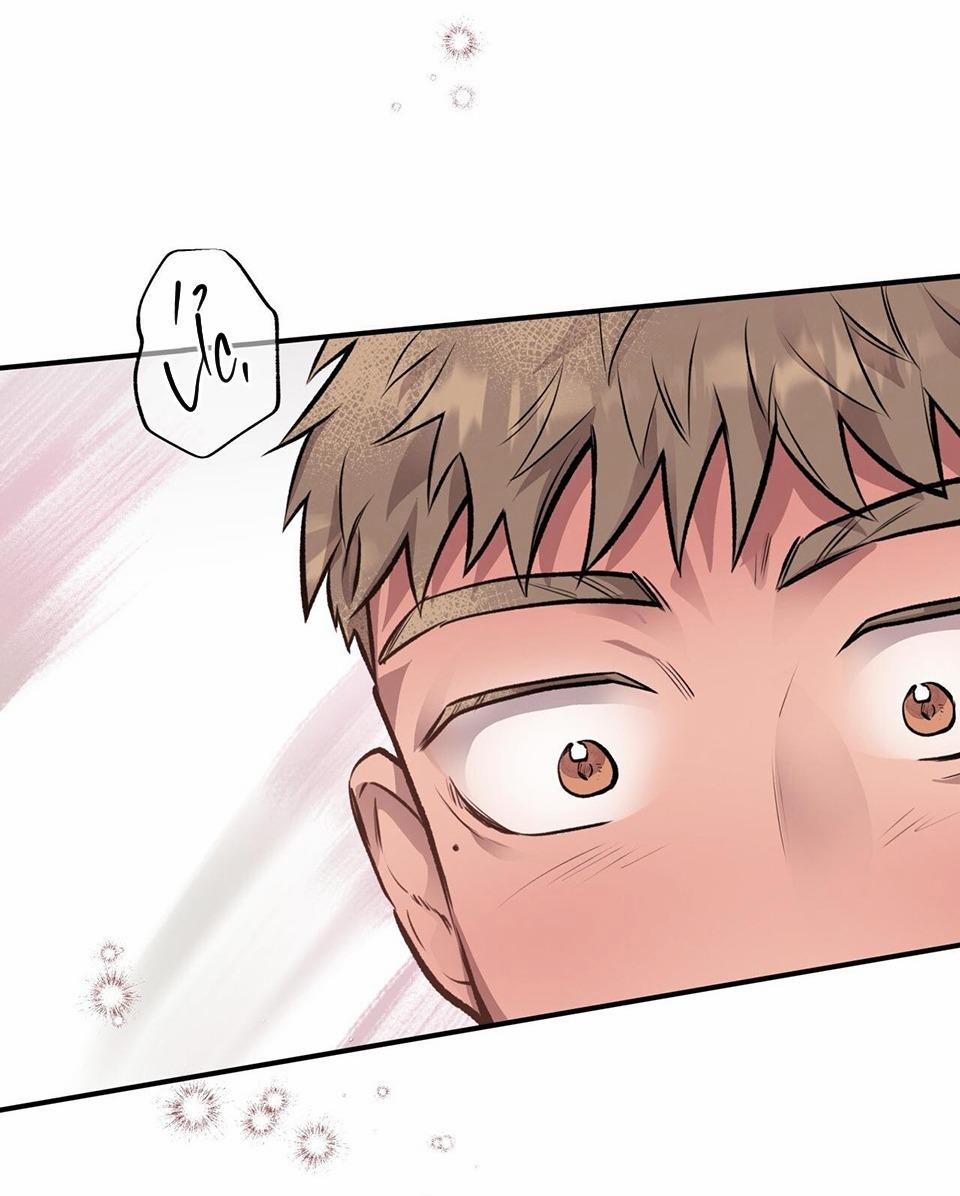 Honey Bear 15 trang 28