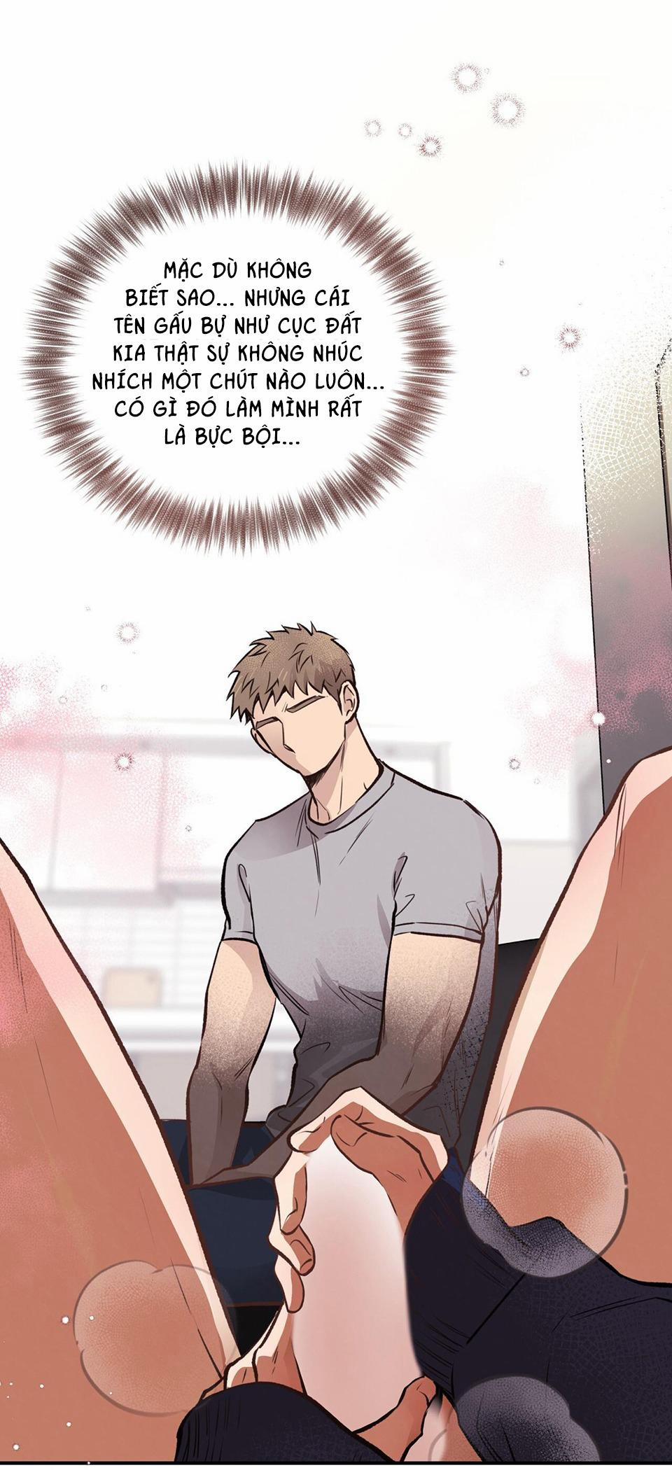 Honey Bear 15 trang 35