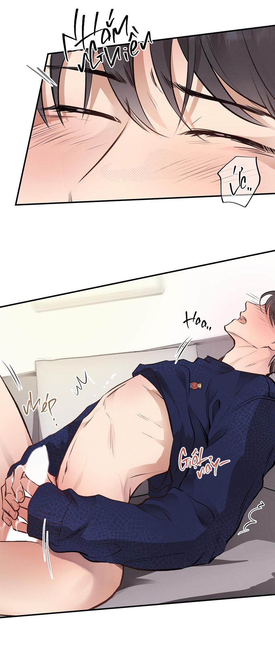 Honey Bear 15 trang 40