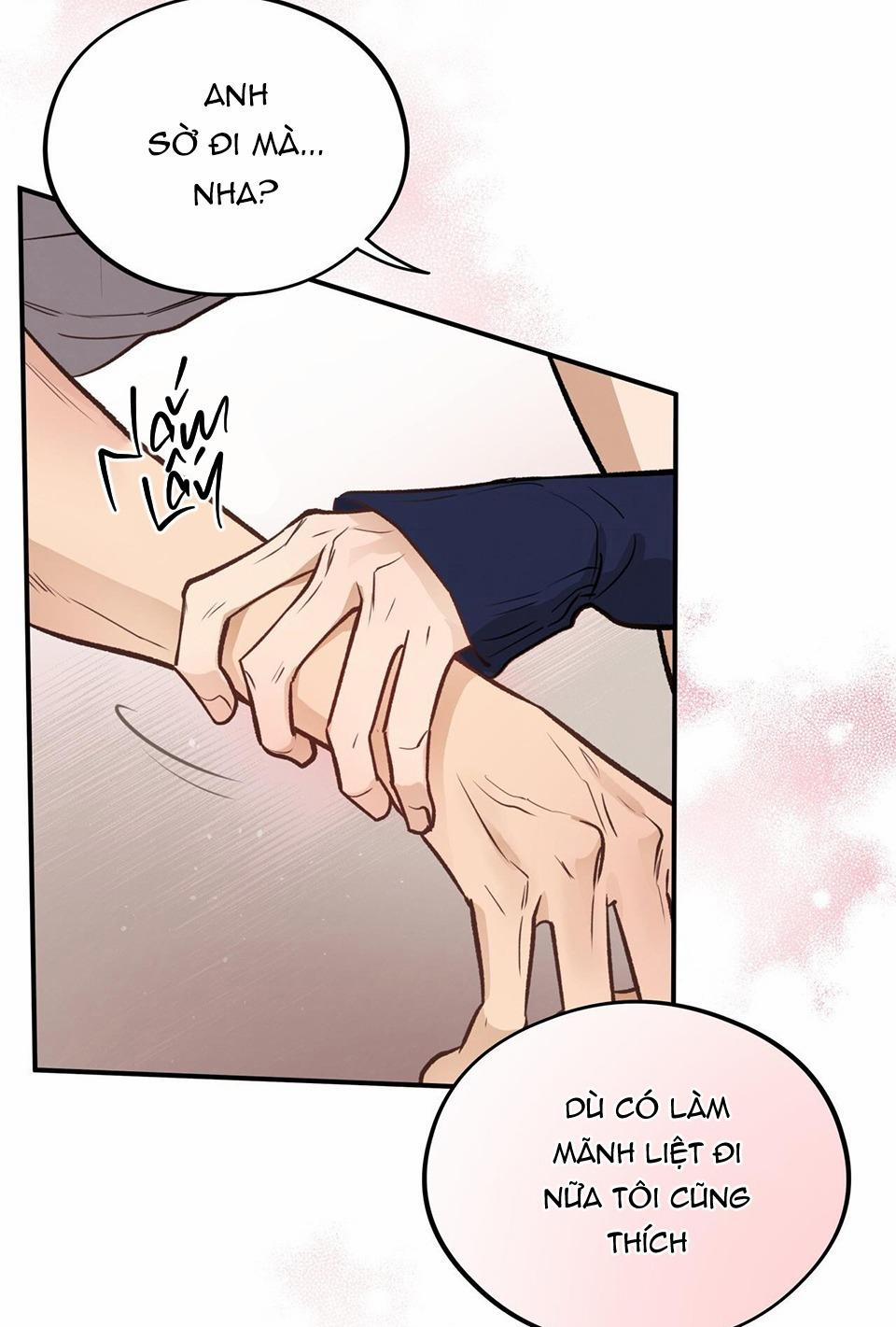 Honey Bear 15 trang 43