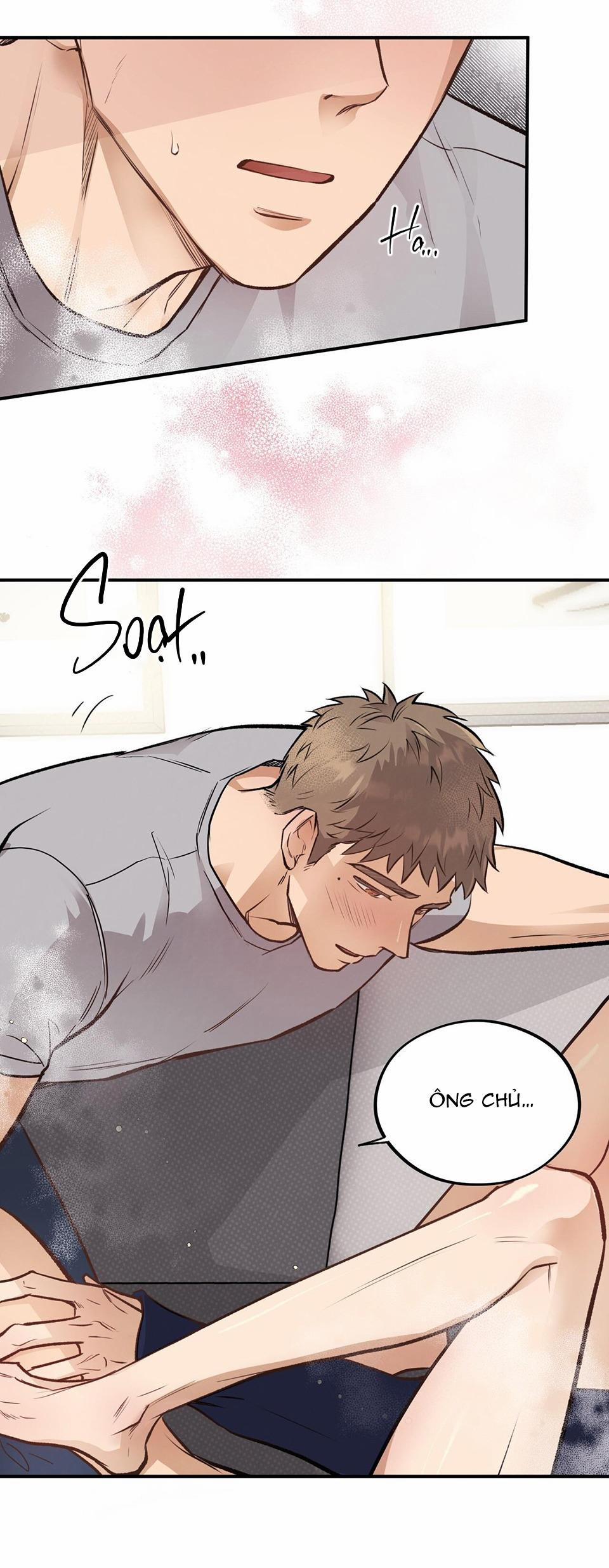 Honey Bear 15 trang 45