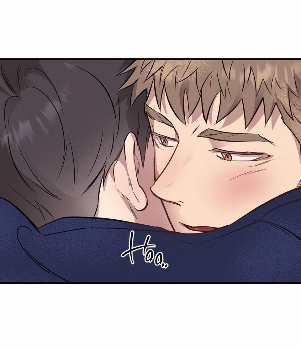 Honey Bear 15 trang 47