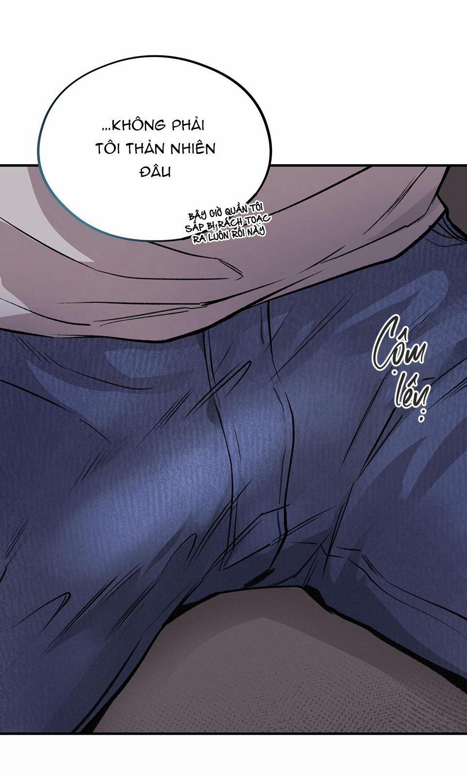 Honey Bear 15 trang 52