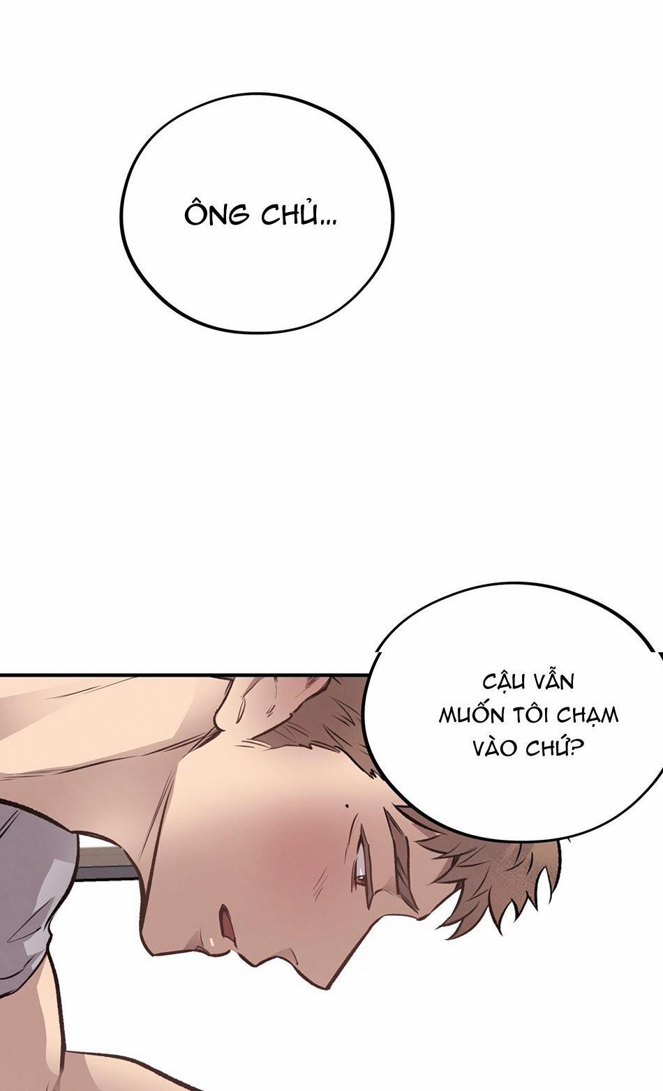 Honey Bear 15 trang 67