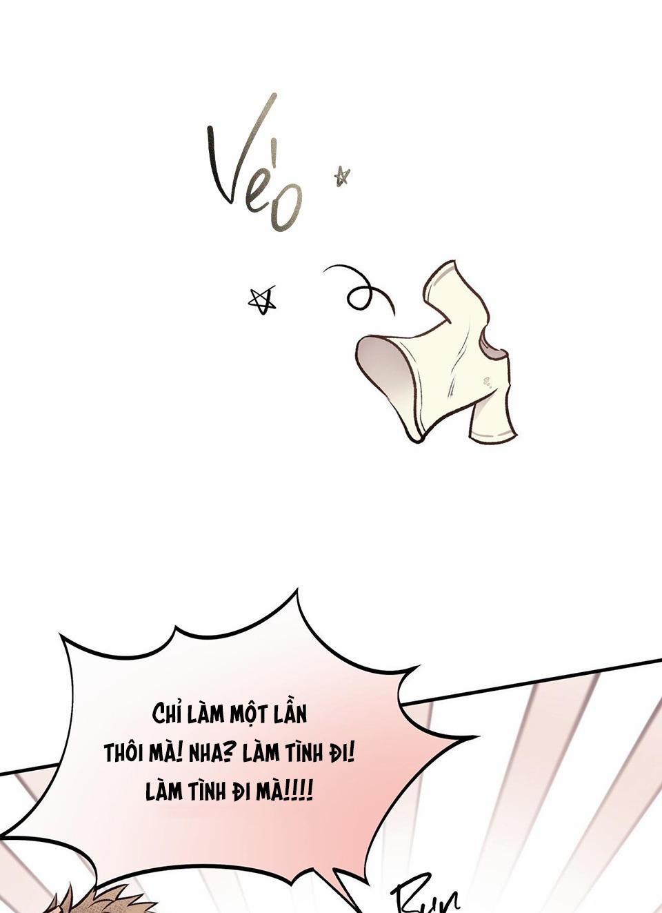 Honey Bear 15 trang 7