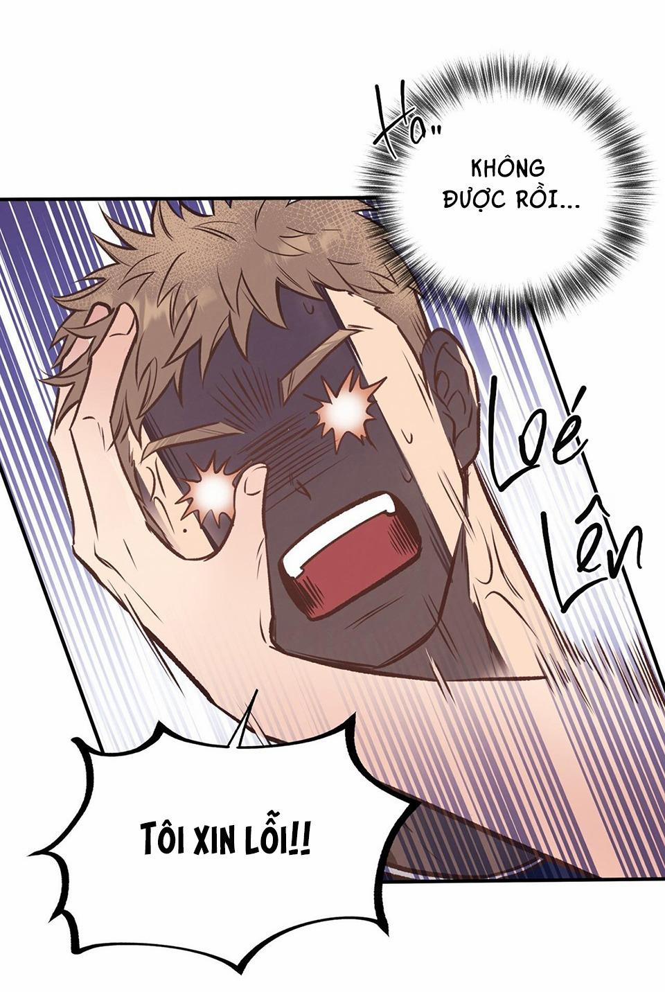 Honey Bear 15 trang 9