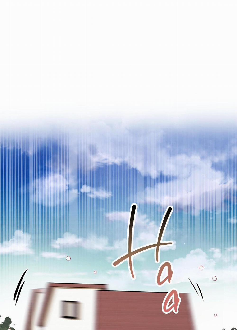 Honey Bear 16 trang 1