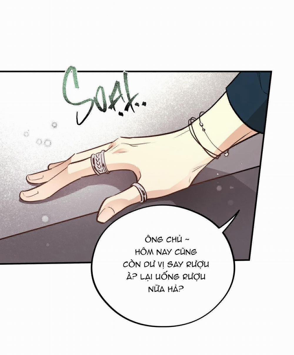 Honey Bear 16 trang 14