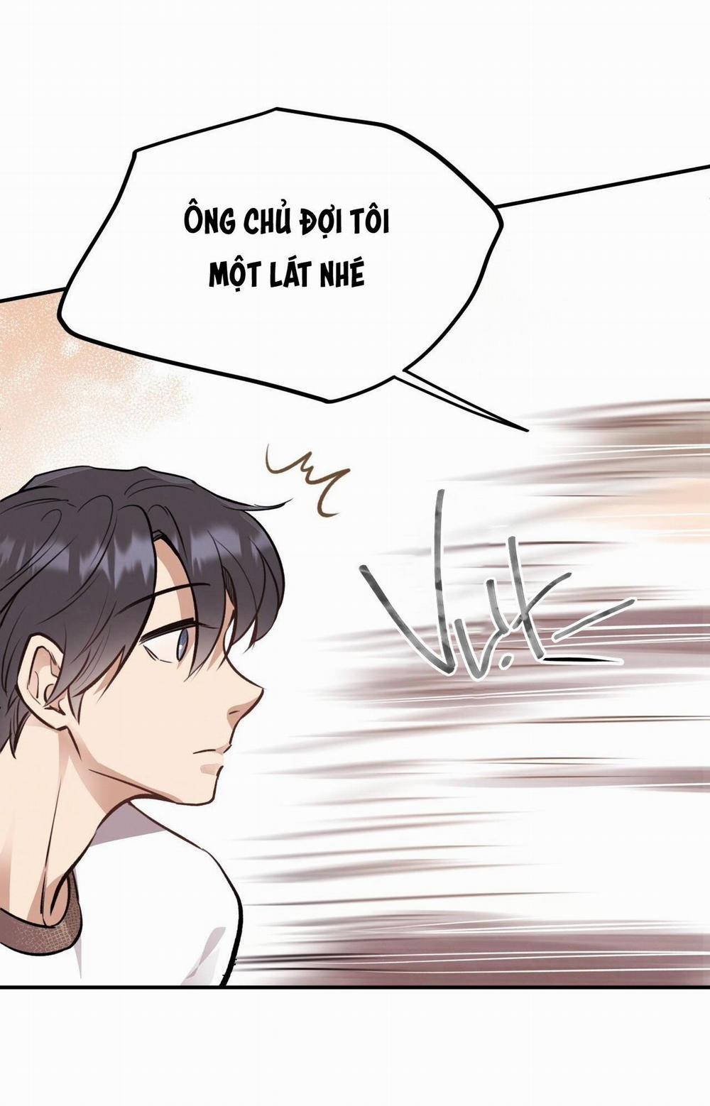 Honey Bear 16 trang 37