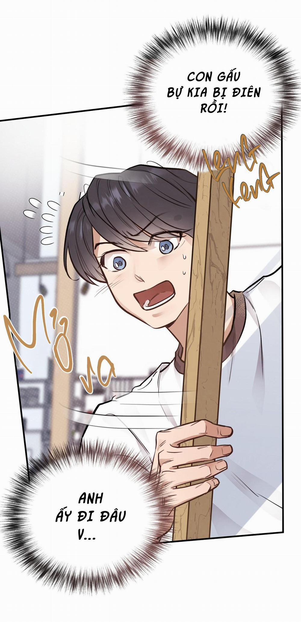 Honey Bear 16 trang 39