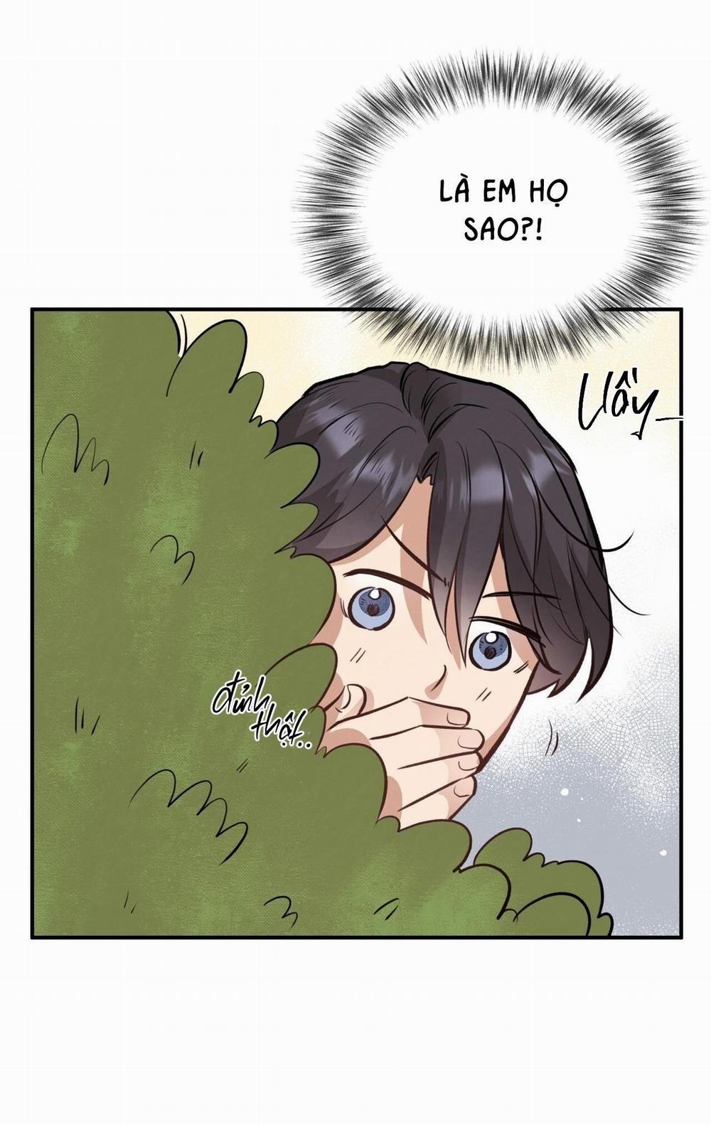 Honey Bear 16 trang 51