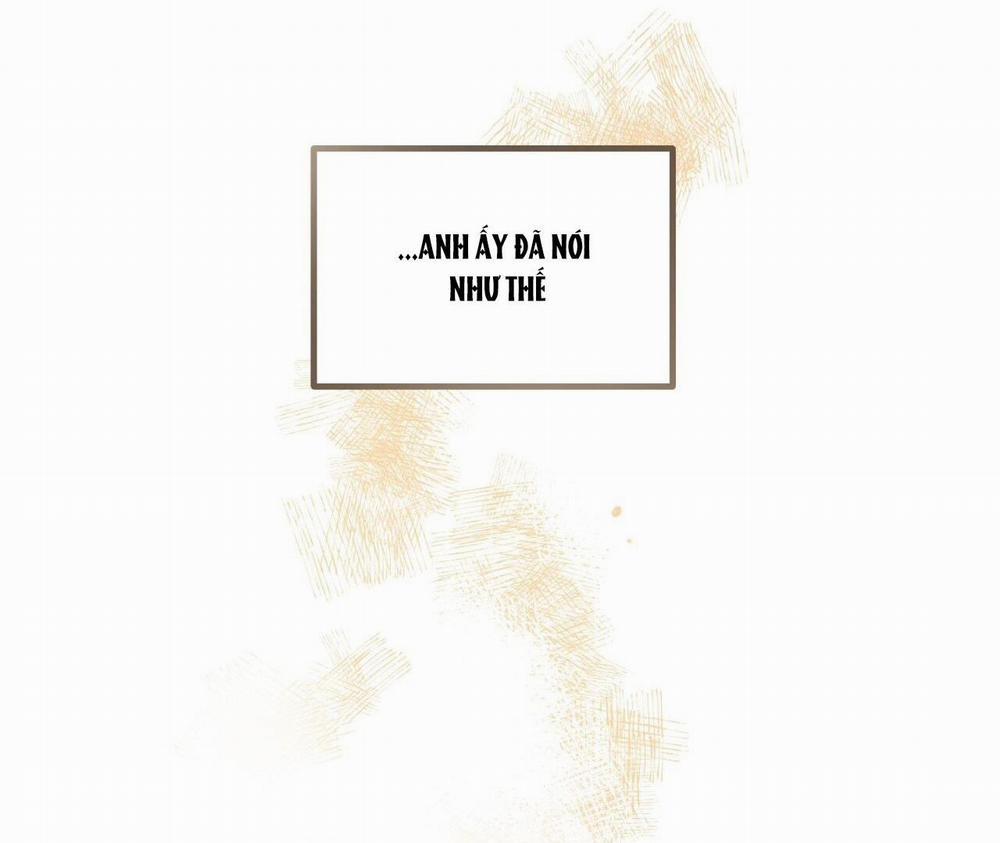 Honey Bear 16 trang 6