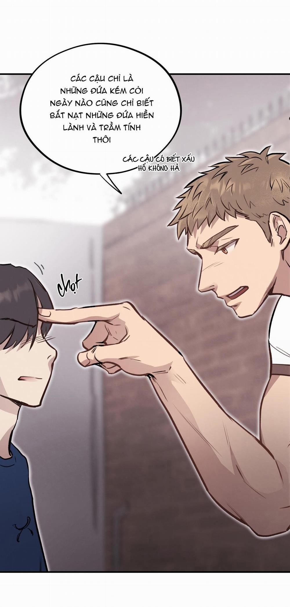 Honey Bear 16 trang 68