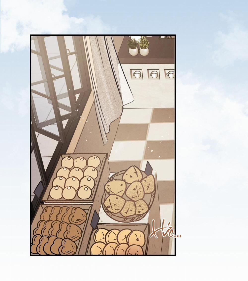 Honey Bear 17 trang 19