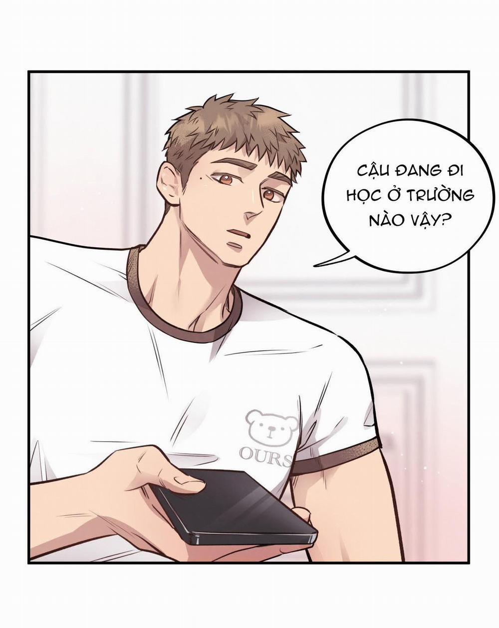 Honey Bear 17 trang 43