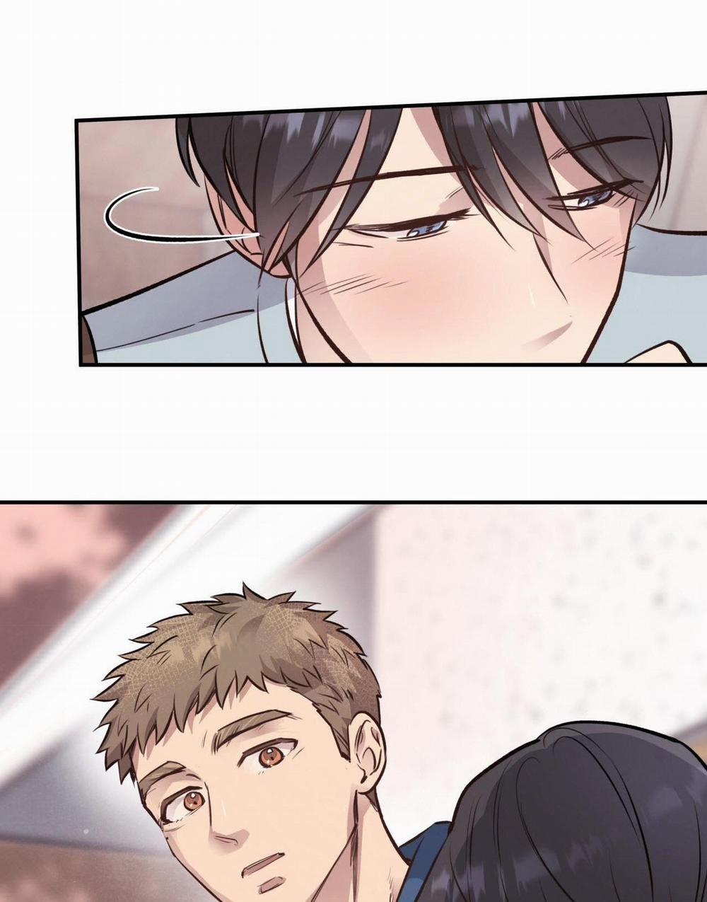 Honey Bear 17 trang 80