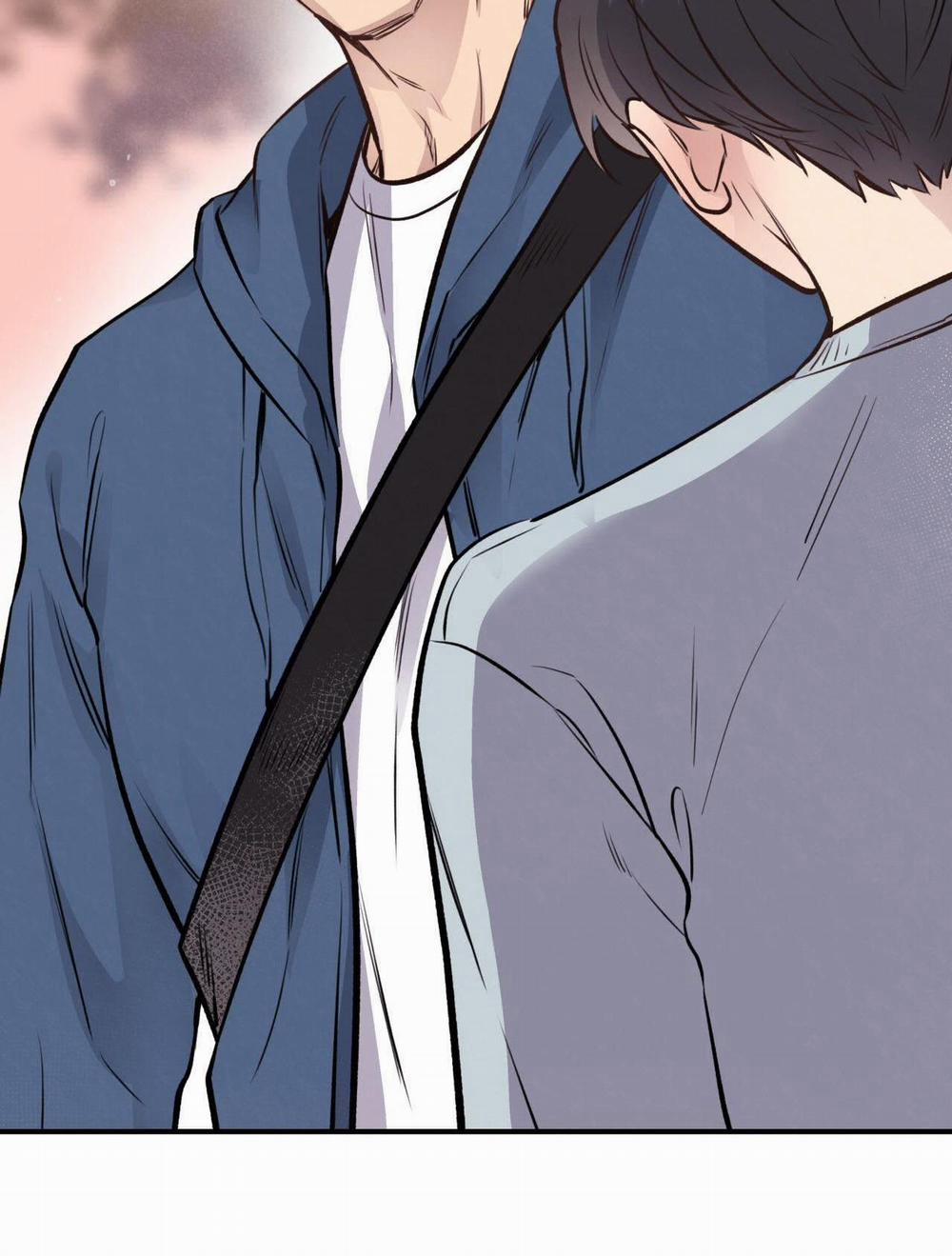 Honey Bear 17 trang 81