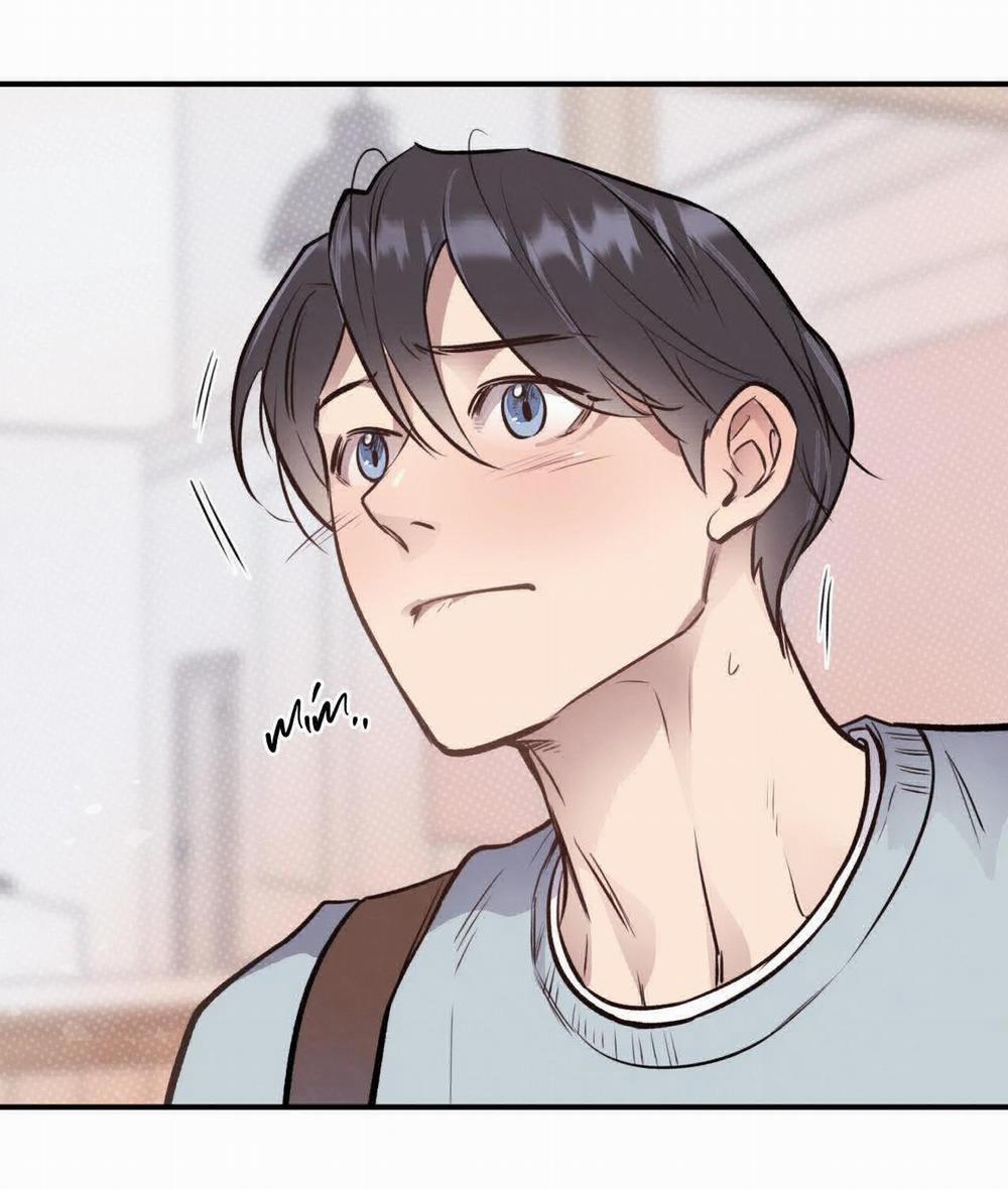 Honey Bear 17 trang 86