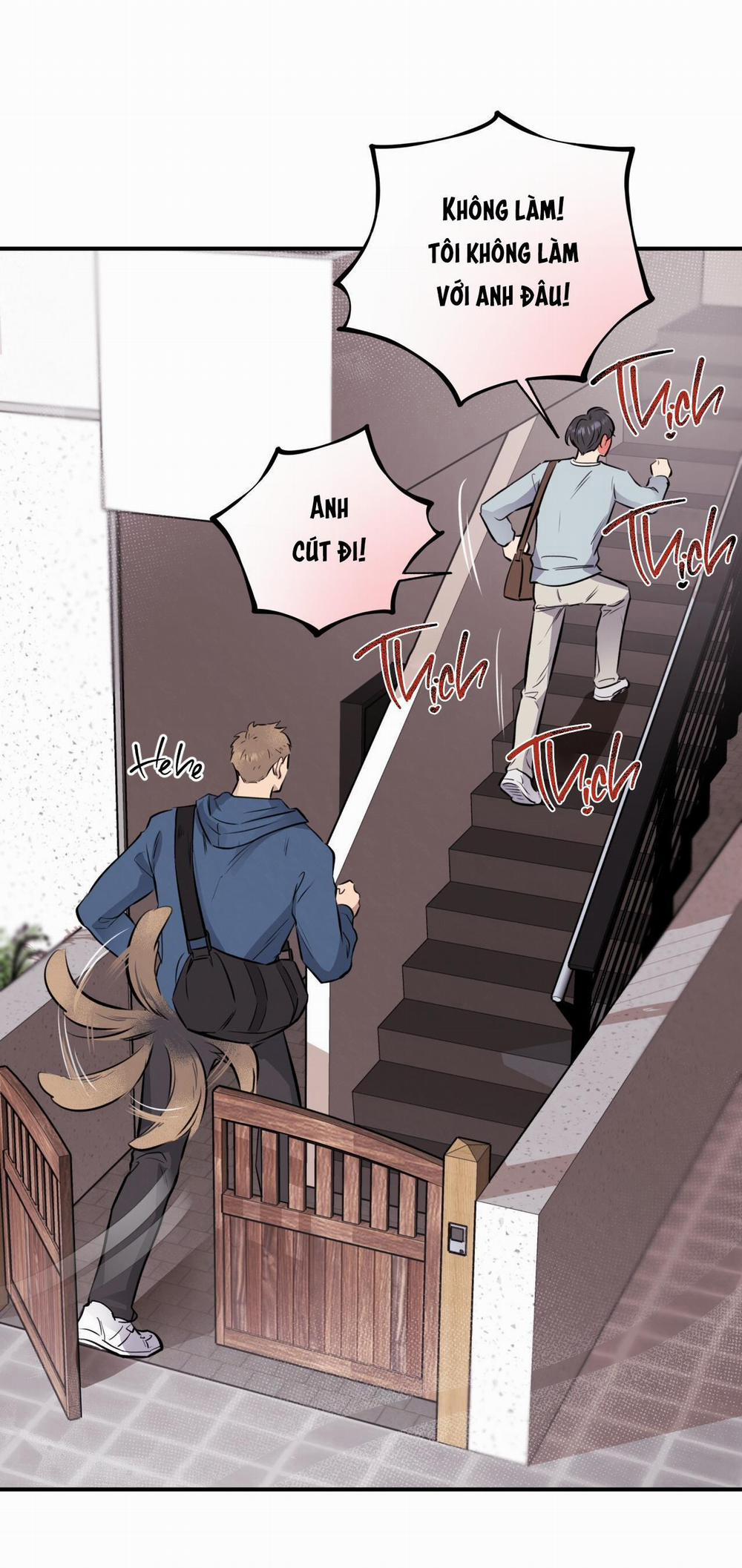 Honey Bear 17 trang 92