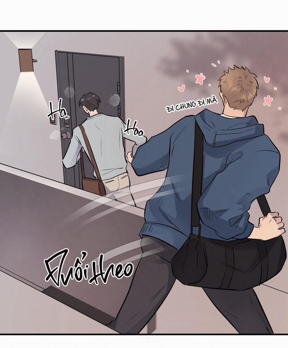 Honey Bear 17 trang 93