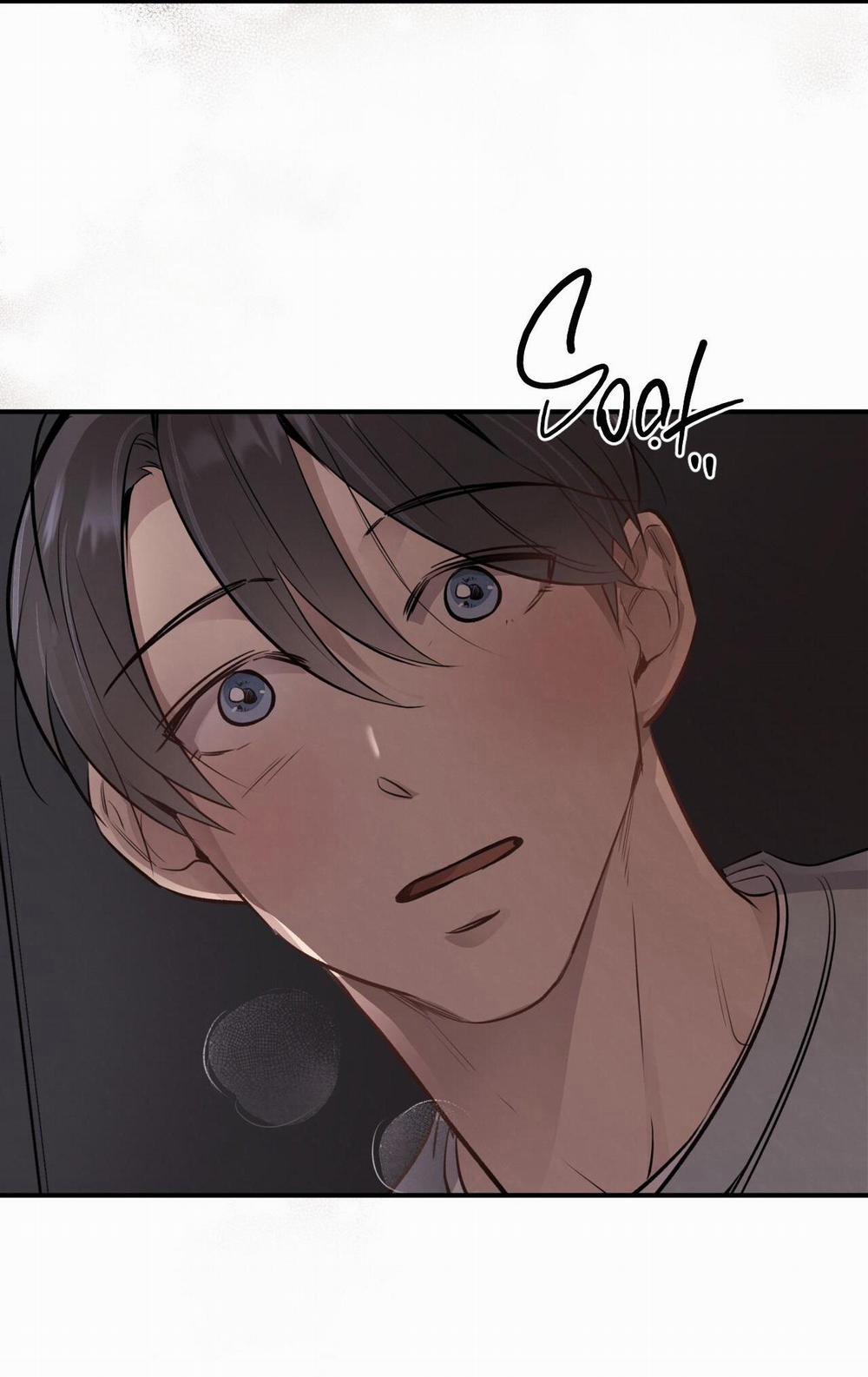 Honey Bear 17 trang 95